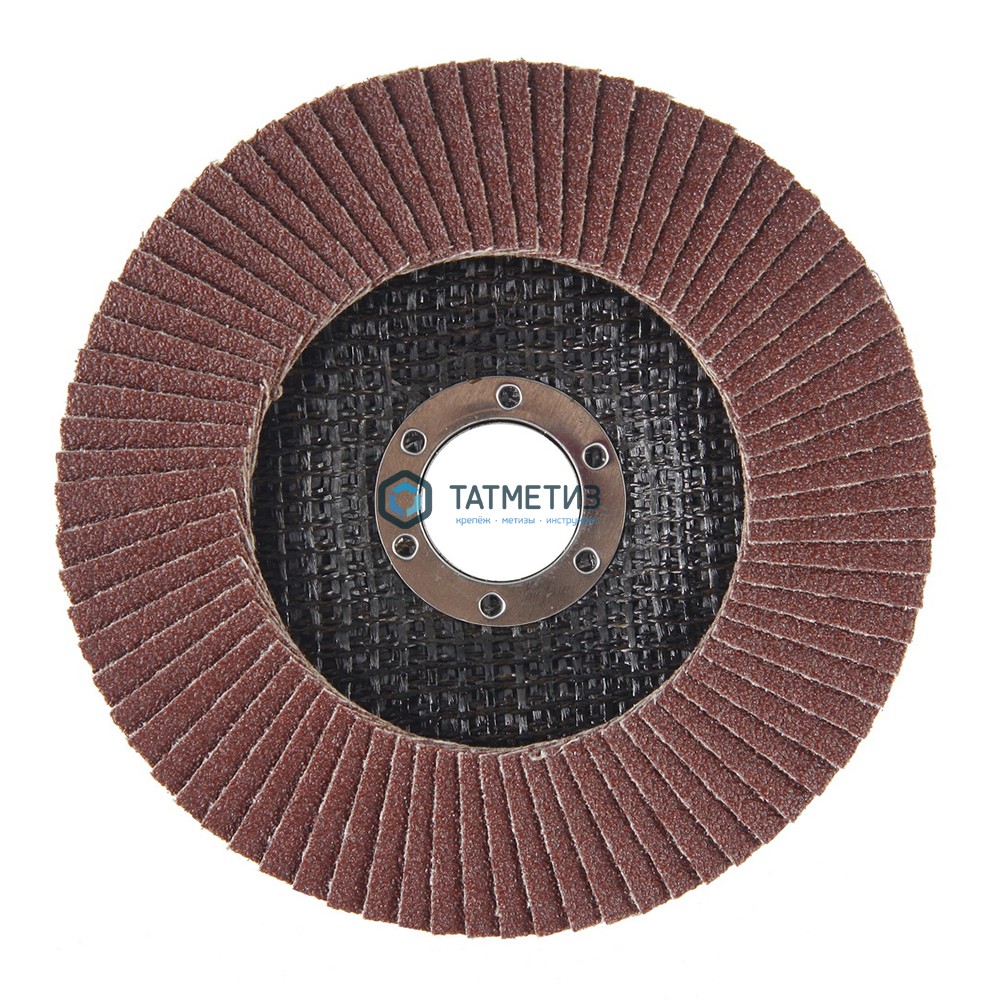 Круг лепестковый торцевой абразивный "Луга" для шлифования, 125 х 22 мм, зерно P24 -  магазин «ТАТМЕТИЗ»